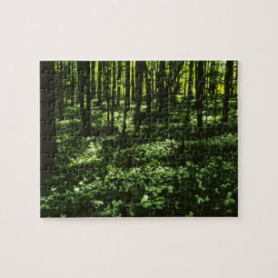 Trillium-Waldpuzzlespiel Puzzle