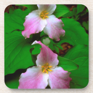Trillium-Wildblume Getränkeuntersetzer