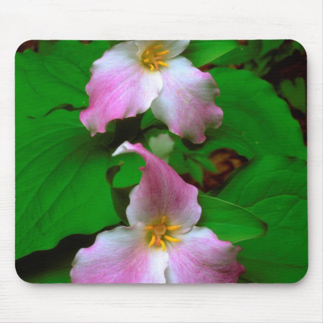 Trillium-Wildblume Mousepad (Vorne)