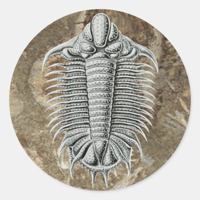 Trilobit-Aufkleber Runder Aufkleber (Vorderseite)