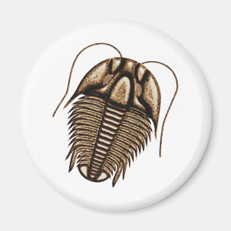 Trilobit Kühlschrankmagnet Magnet