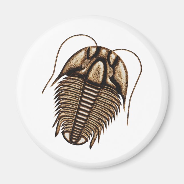 Trilobit Kühlschrankmagnet Magnet (Vorne)