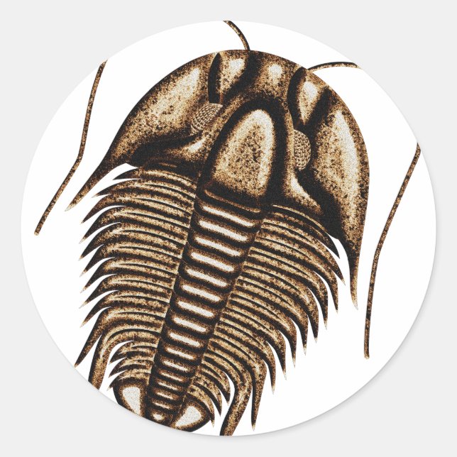 Trilobit Runder Aufkleber (Vorderseite)