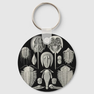 Trilobit! Schlüsselanhänger