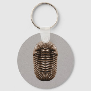 Trilobit Schlüsselanhänger