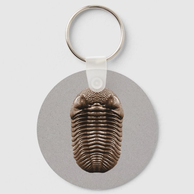 Trilobit Schlüsselanhänger (Vorderseite)