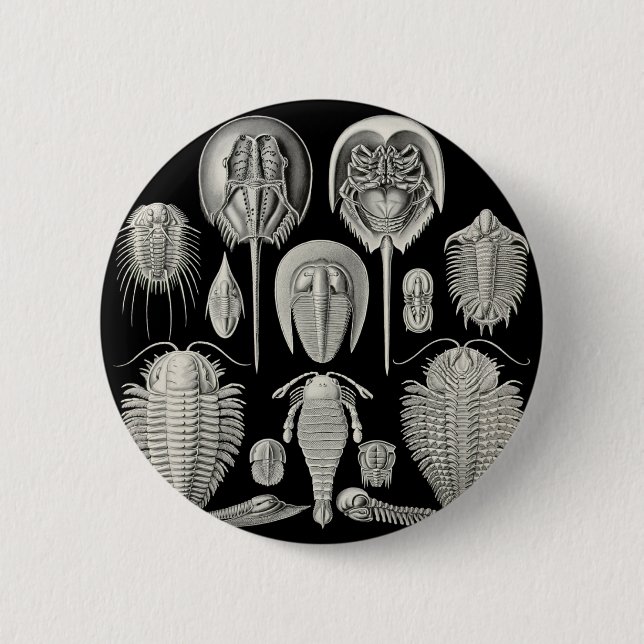 Trilobite! Button (Vorderseite)