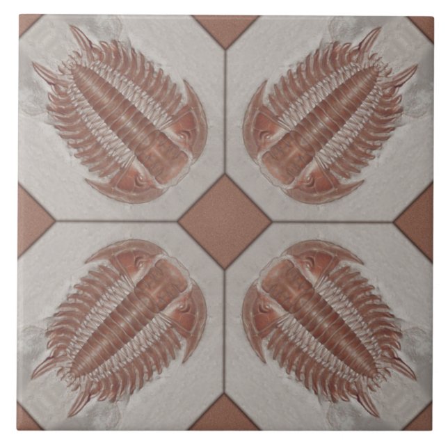 Trilobite Fliese (Vorderseite)