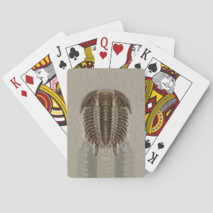Trilobite Fossil Playing Cards Spielkarten