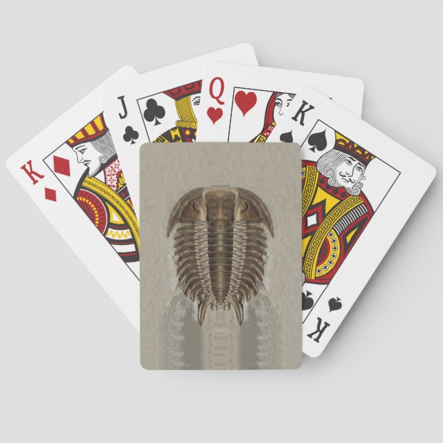 Trilobite Fossil Playing Cards Spielkarten (Rückseite)