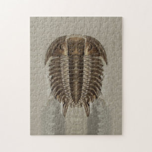 Trilobite Fossil-Puzzlespiel Puzzle