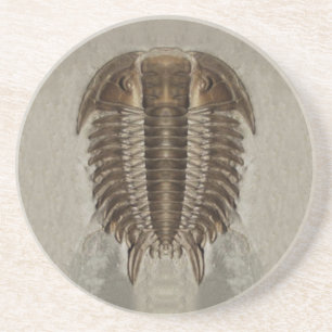 Trilobite Fossil-Untersetzer Sandstein Untersetzer
