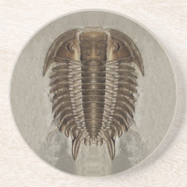 Trilobite Fossil-Untersetzer Sandstein Untersetzer (Vorne)