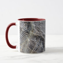 Trilobite Tasse