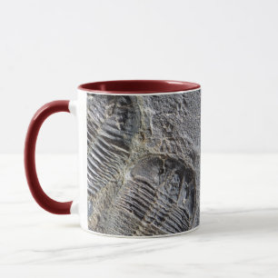 Trilobite Tasse
