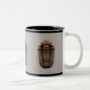 Trilobite Tasse