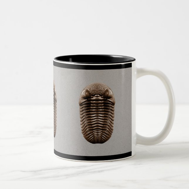 Trilobite Tasse (Rechts)