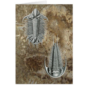 Trilobites Karte