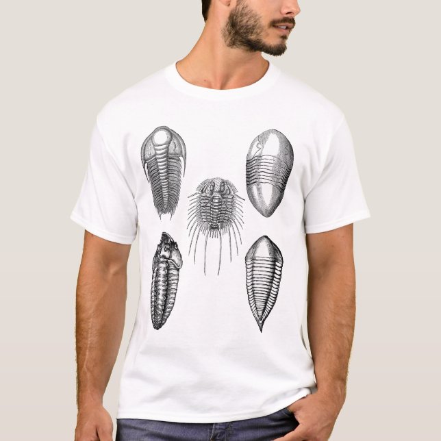 Trilobites Shirt (Vorderseite)