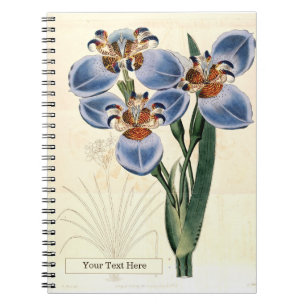Trimezia Spiral Foto Notebook Notizblock