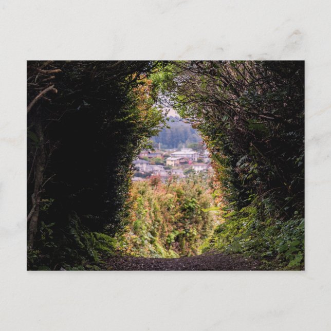 Trinidad Postkarte (Vorderseite)