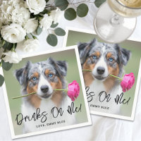 Trink Auf Mich Foto Hund Hochzeit