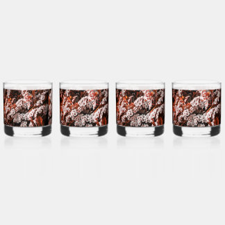 Trinkbehälter Set kleine Gläser