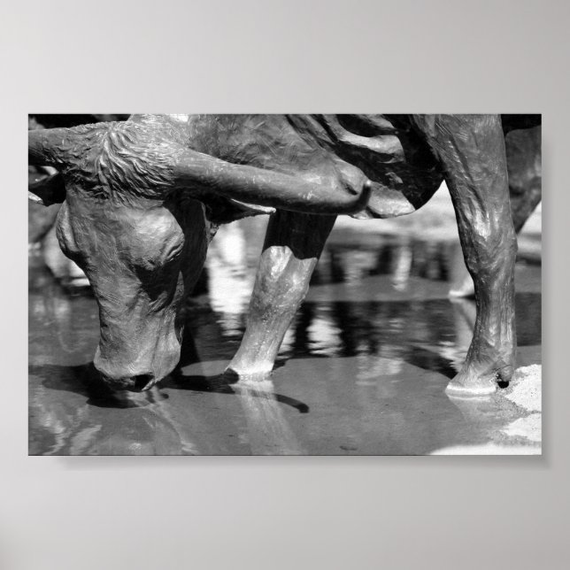 Trinken Longhorn Poster (Vorne)