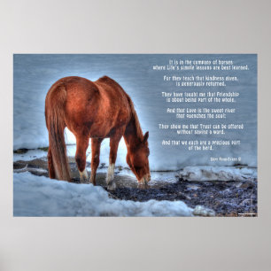 Trinken von Red Dun Ranch Horse & Equine Gedicht Poster