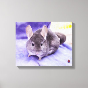 Trinket! - Chinchilla-Leinwand-Druck Leinwanddruck