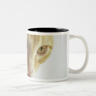 Trinkmilch der Katze Zweifarbige Tasse