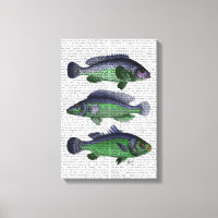 Trio Blauer und Grüner Fisch