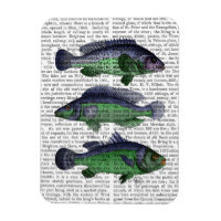 Trio Blauer und Grüner Fisch
