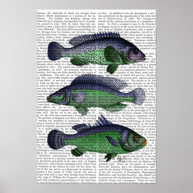 Trio Blauer und Grüner Fisch Poster (Vorne)
