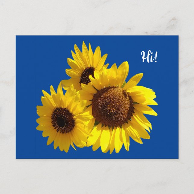 Trio Cut Out Sonnenblumen Foto auf Blue Postkarte (Vorderseite)