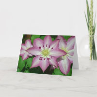 Trio der Karte der Clematis-Mutter Tages