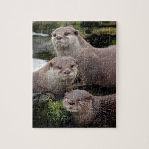 Trio der Otter Puzzle