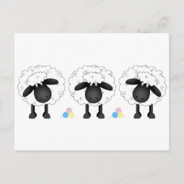 Trio der Schafe Postkarte