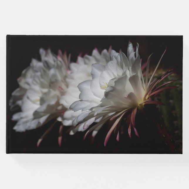 Trio der weißen Kakteen-Blume Gästebuch (Vorderseite)