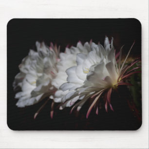 Trio der weißen Kakteen-Blume Mousepad
