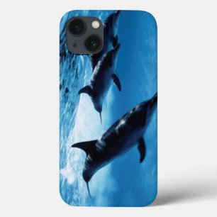 Trio of Dolphins Case-Mate iPhone Hülle