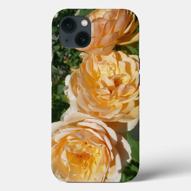 Trio of Peach Rose Floral Case-Mate iPhone Hülle (Rückseite)