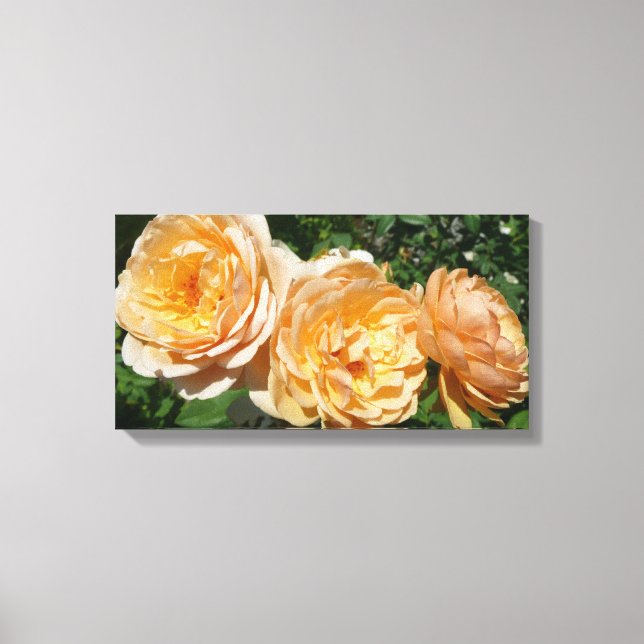Trio of Peach Rose Floral Leinwanddruck (Vorderseite)