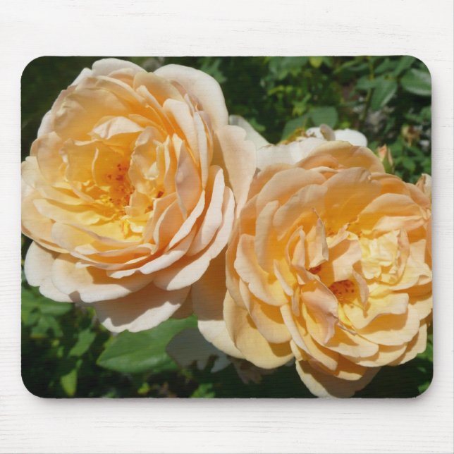 Trio of Peach Rose Floral Mousepad (Vorne)