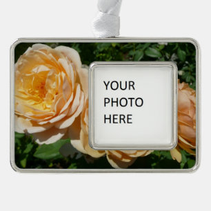 Trio of Peach Rose Floral Rahmen-Ornament Silber