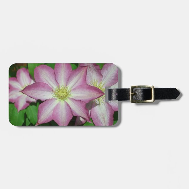 Trio von Clematin Rosa und Weißer Frühling Wein Gepäckanhänger (Vorderseite horizontal)