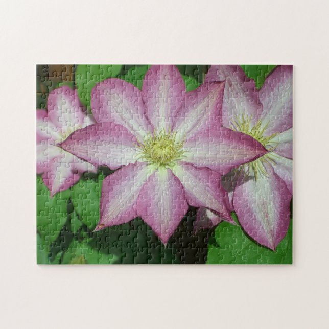 Trio von Clematin Rosa und Weißer Frühling Wein Puzzle (Horizontal)