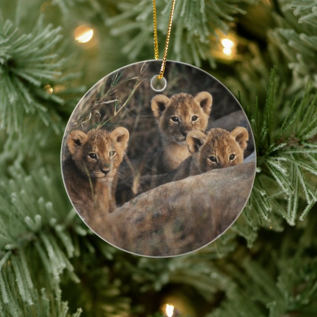 Trio von Lion Cubs mit Mutter Keramik Ornament (Baum)