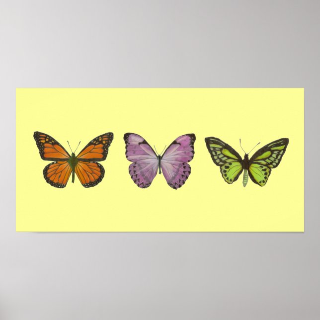 Triple Butterfly Poster Horizontal (Vorne)