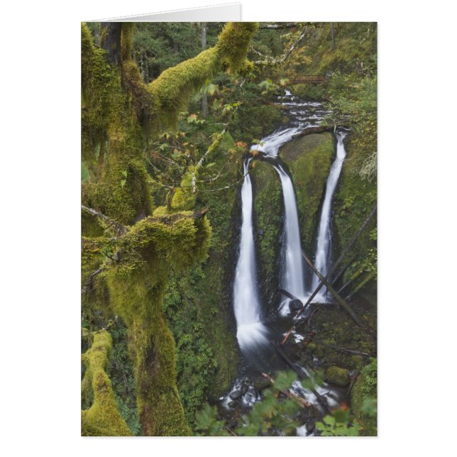 Triple Falls, Columbia River Gorge (Vorne)